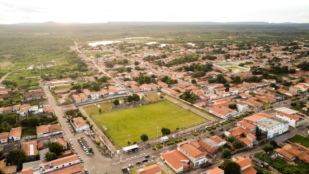 Agricultor colhe macaxeira de cerca de 3 metros em Pimenteiras: 'dividida para quatro fam&iacute;lias', diz filho