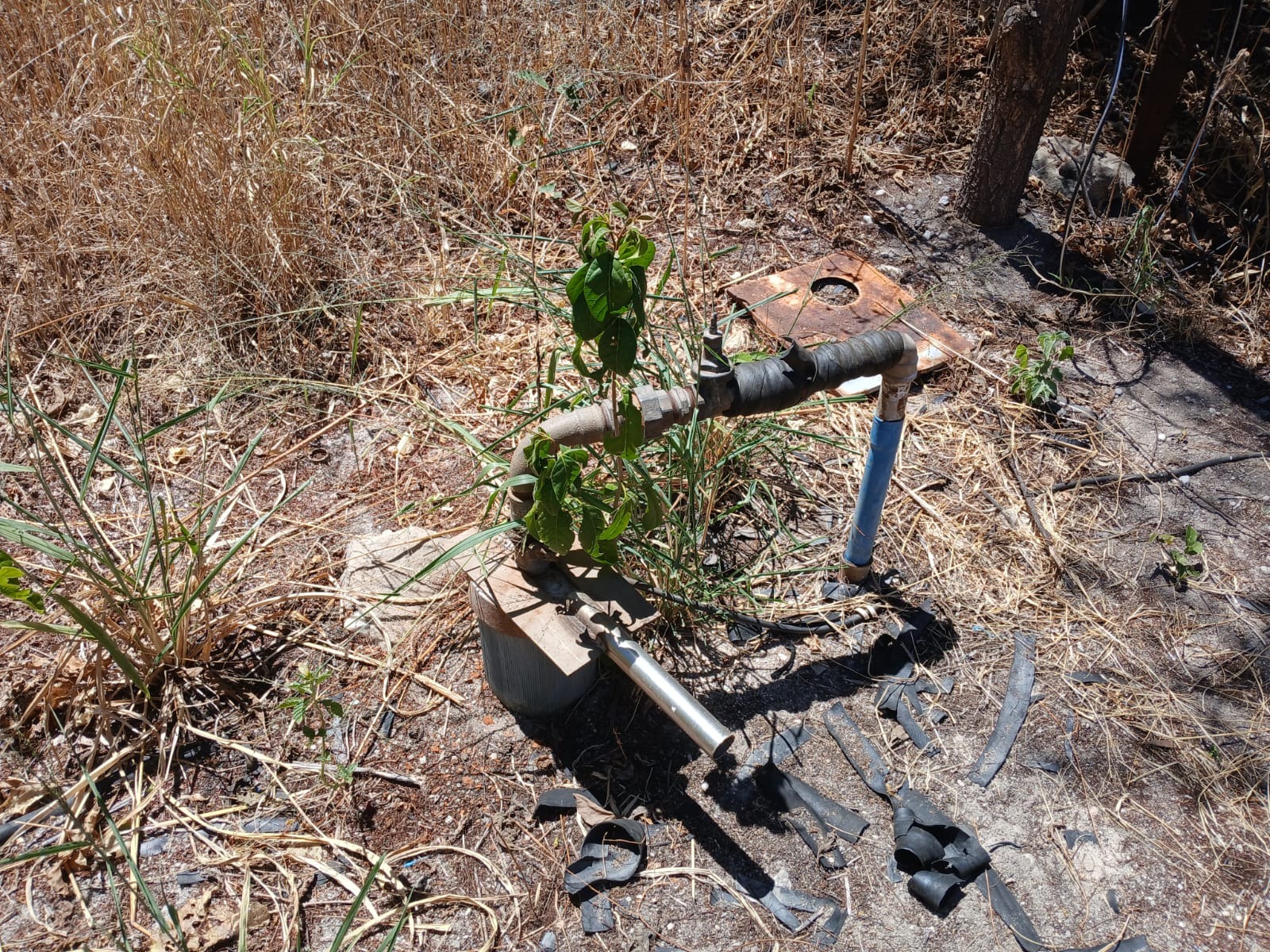 Em Valen&ccedil;a do Piau&iacute;, &Aacute;guas do Piau&iacute; amplia abastecimento nos bairros Campestre e Lavanderia