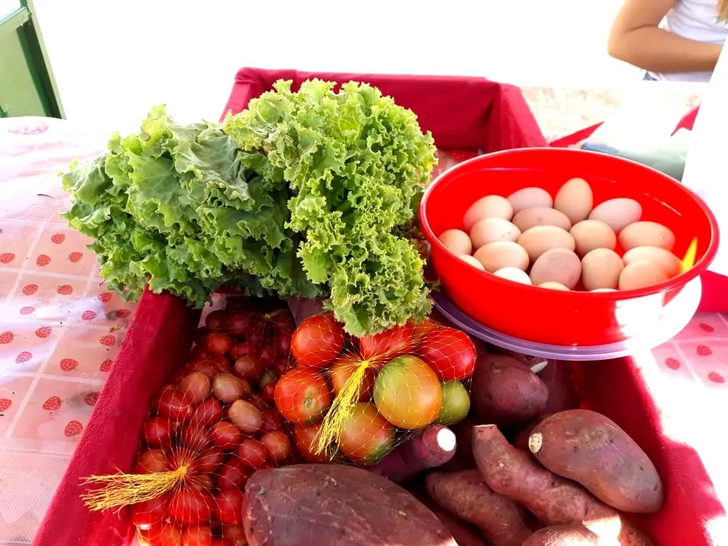 Santa Cruz dos Milagres realiza primeira Feira da Agricultura Familiar de 2026