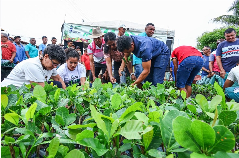 Santa Cruz dos Milagres incentiva economia local com valoriza&ccedil;&atilde;o da Feira da Agricultura Familiar