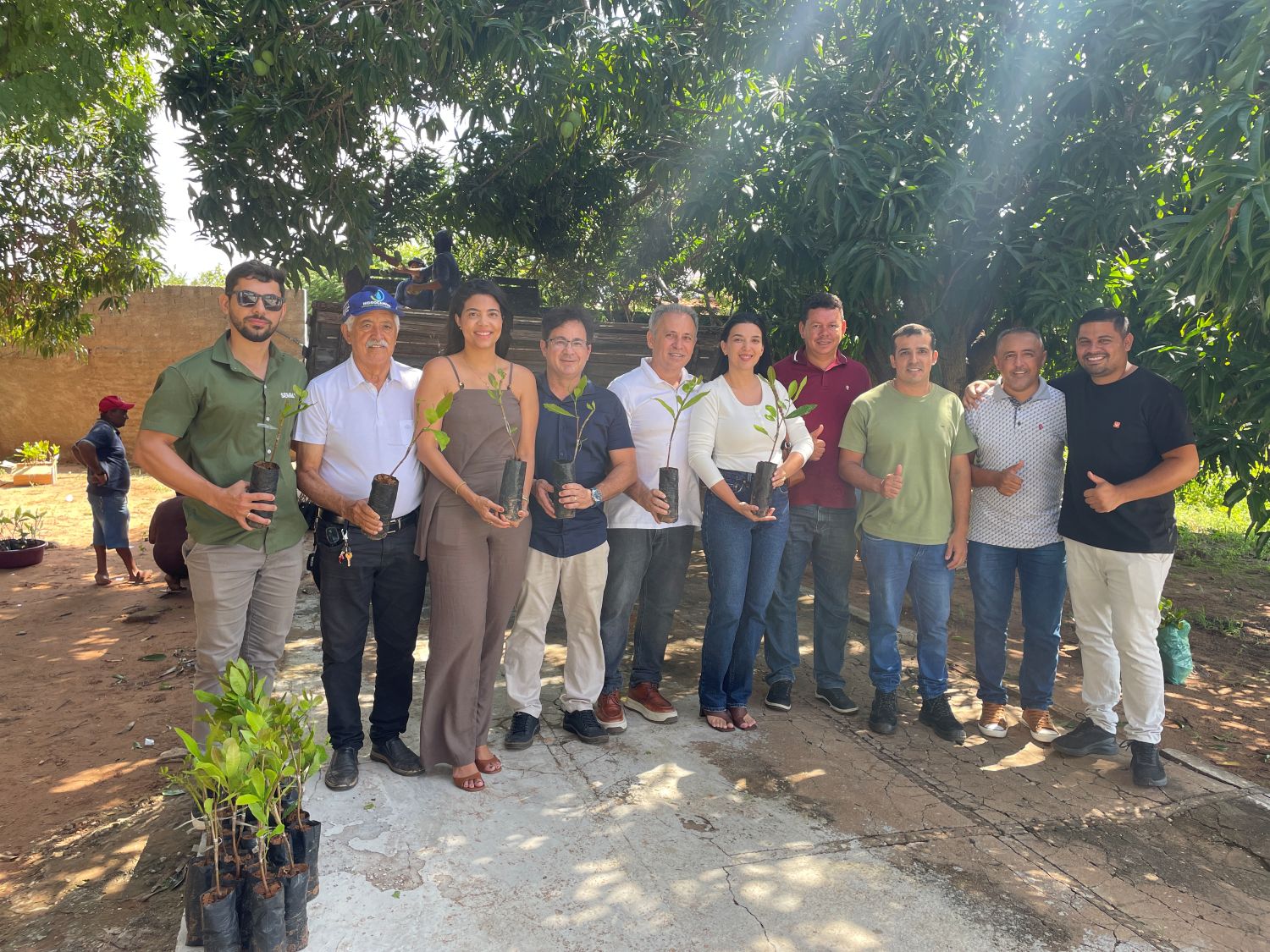 Prefeitura de Inhuma distribui 15 mil mudas de caju e impulsiona agricultura familiar
