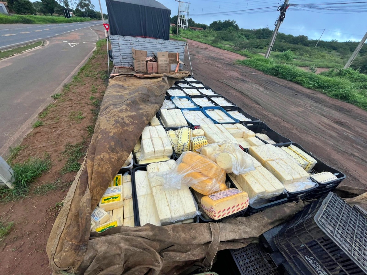 Adapi autua e determina descarte de 3,5 toneladas de queijo irregular apreendidas pela PRF em Picos