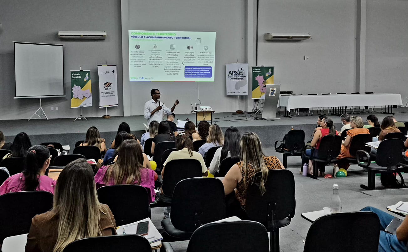 Sesapi qualifica equipes do Vale do Sambito na an&aacute;lise de indicadores da Aten&ccedil;&atilde;o Prim&aacute;ria &agrave; Sa&uacute;de