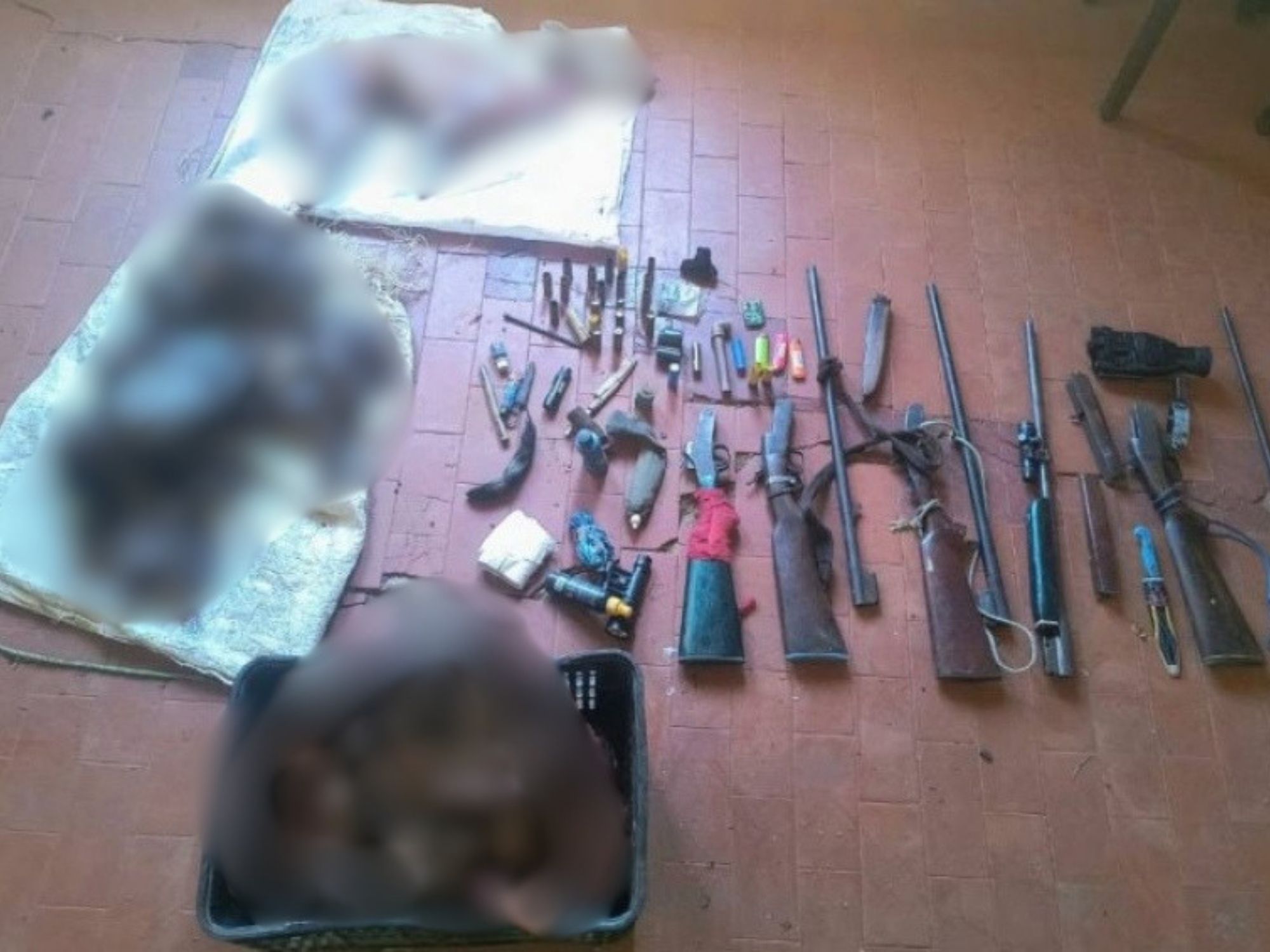 Tr&ecirc;s ca&ccedil;adores s&atilde;o presos com quatro espingardas e cinco veados abatidos