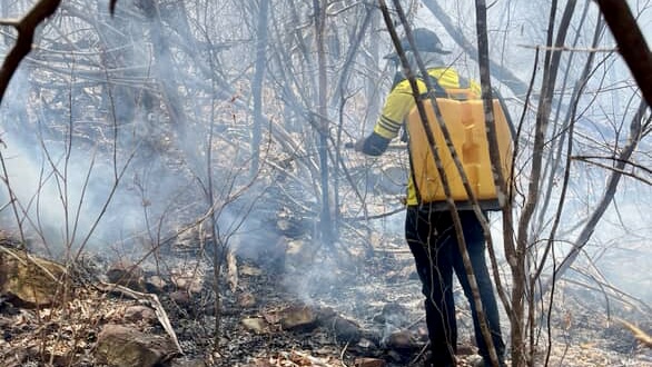 Inc&ecirc;ndio avan&ccedil;a e devasta extensa &aacute;rea da zona rural de S&atilde;o Miguel do Tapuio