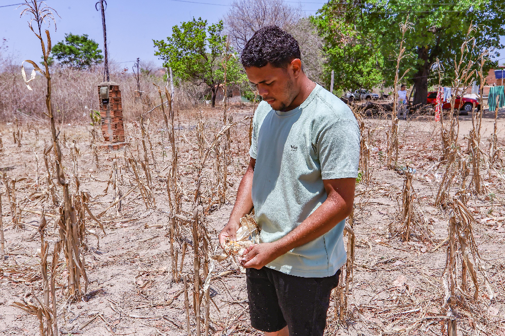 Munic&iacute;pios do Vale do Sambito est&atilde;o em situa&ccedil;&atilde;o de emerg&ecirc;ncia por causa da seca
