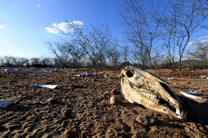 Seca e estiagem: Piau&iacute; chega a 67 munic&iacute;pios em situa&ccedil;&atilde;o de emerg&ecirc;ncia